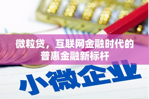 施甸微粒贷，互联网金融时代的普惠金融新标杆