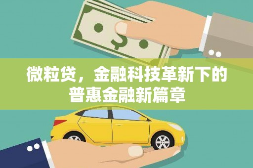 施甸微粒贷，金融科技革新下的普惠金融新篇章