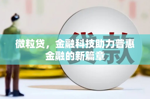 施甸微粒贷，金融科技助力普惠金融的新篇章