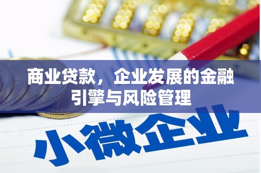 施甸商业贷款，企业发展的金融引擎与风险管理