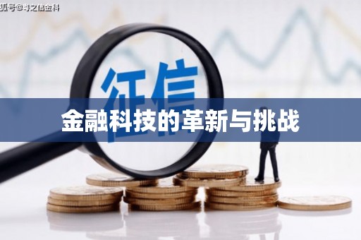 施甸金融科技的革新与挑战