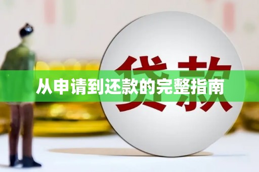 施甸从申请到还款的完整指南