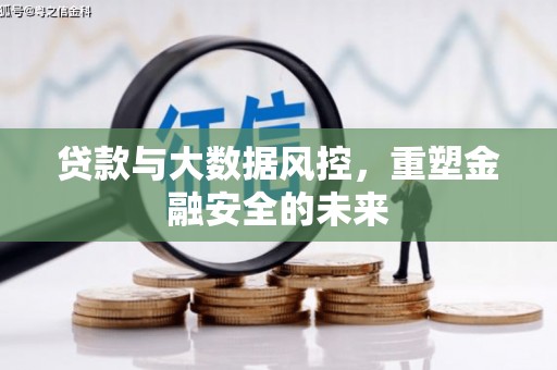 施甸贷款与大数据风控，重塑金融安全的未来
