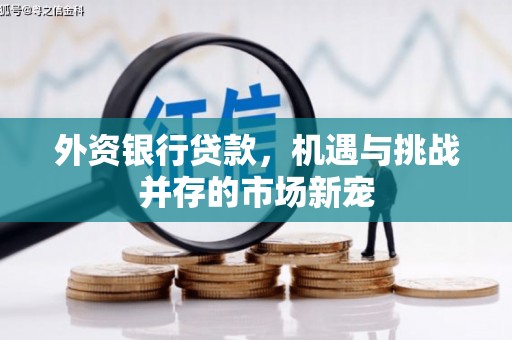 施甸外资银行贷款，机遇与挑战并存的市场新宠