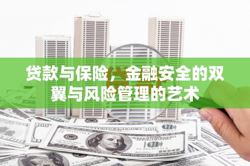施甸贷款与保险，金融安全的双翼与风险管理的艺术