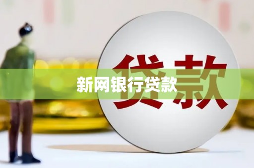 施甸新网银行贷款