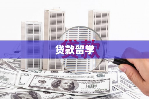 施甸贷款留学