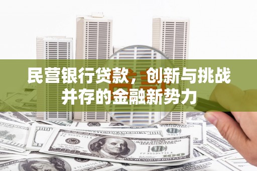 施甸民营银行贷款，创新与挑战并存的金融新势力
