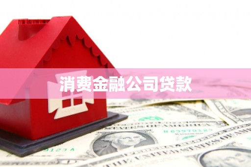 施甸消费金融公司贷款