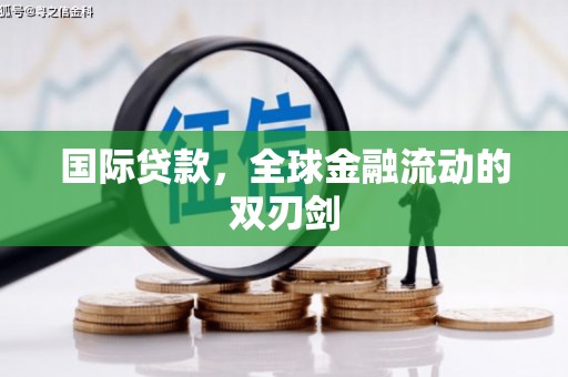 施甸国际贷款，全球金融流动的双刃剑