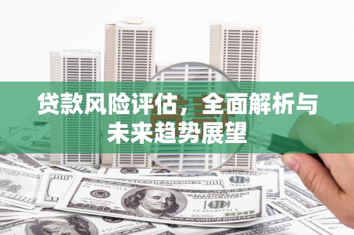 施甸贷款风险评估，全面解析与未来趋势展望