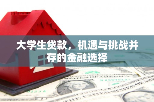 施甸大学生贷款，机遇与挑战并存的金融选择