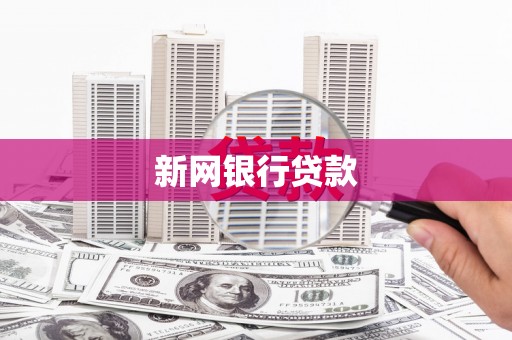 施甸新网银行贷款
