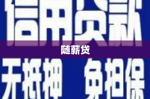 施甸随薪贷