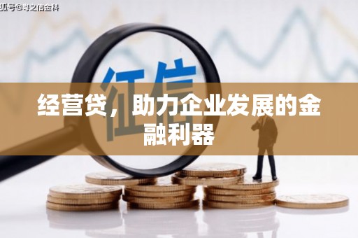 施甸经营贷，助力企业发展的金融利器