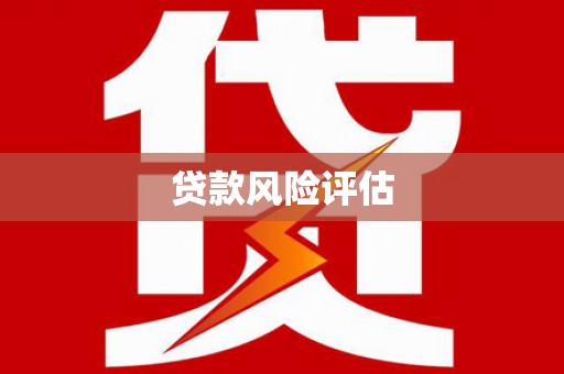 施甸贷款风险评估