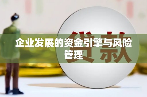 施甸企业发展的资金引擎与风险管理