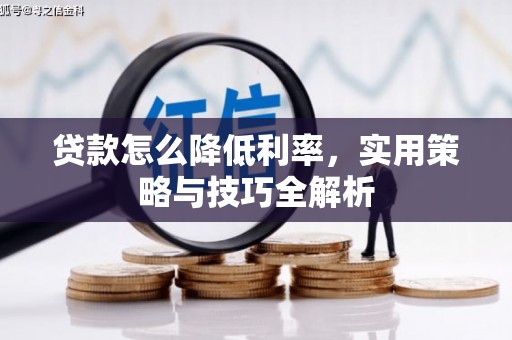 施甸贷款怎么降低利率，实用策略与技巧全解析