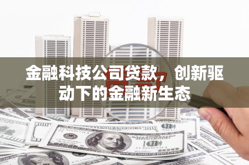 施甸金融科技公司贷款，创新驱动下的金融新生态