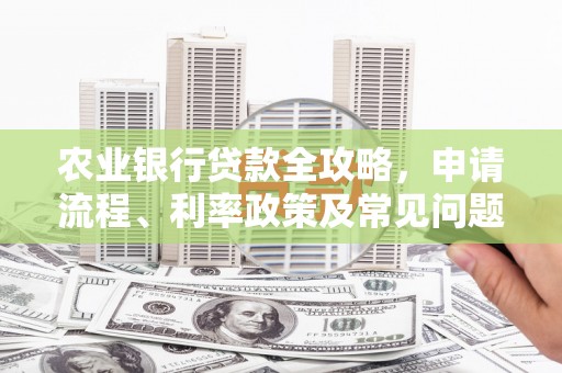 施甸农业银行贷款全攻略，申请流程、利率政策及常见问题解析