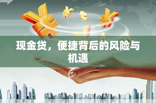 施甸现金贷，便捷背后的风险与机遇