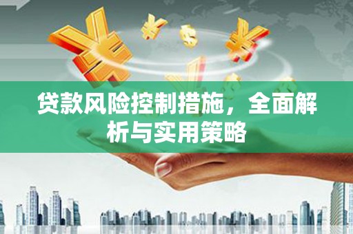 施甸贷款风险控制措施，全面解析与实用策略