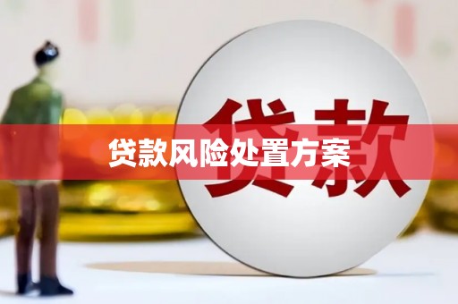 施甸贷款风险处置方案