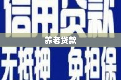 施甸养老贷款