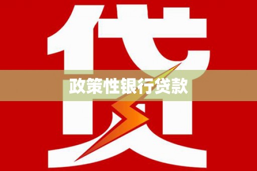 施甸政策性银行贷款