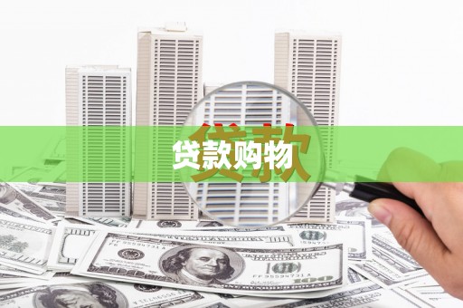 施甸贷款购物