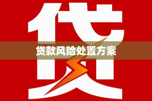 施甸贷款风险处置方案