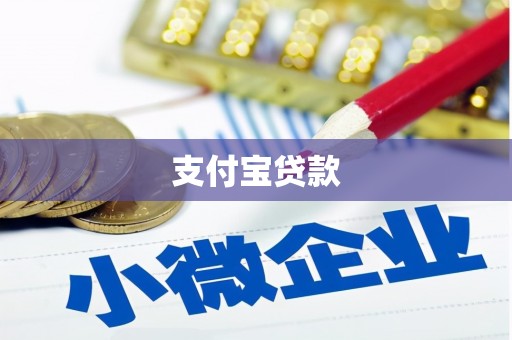 施甸支付宝贷款