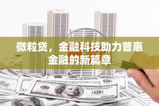施甸微粒贷，金融科技助力普惠金融的新篇章