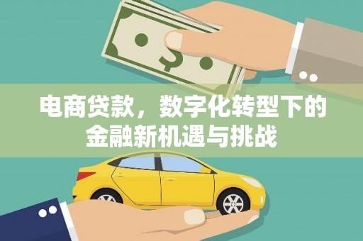 施甸电商贷款，数字化转型下的金融新机遇与挑战