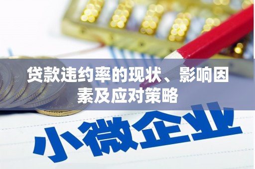 施甸贷款违约率的现状、影响因素及应对策略