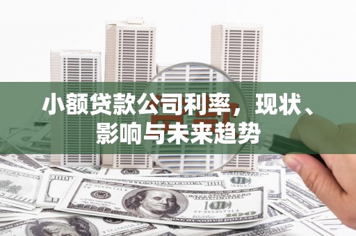 施甸小额贷款公司利率，现状、影响与未来趋势