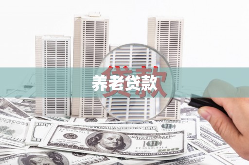 施甸养老贷款