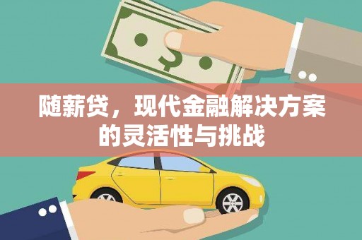 施甸随薪贷，现代金融解决方案的灵活性与挑战