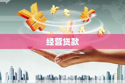 施甸经营贷款