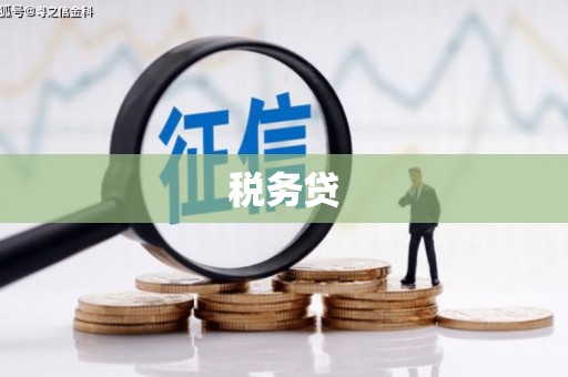 施甸税务贷