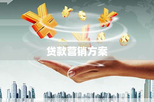 施甸贷款营销方案