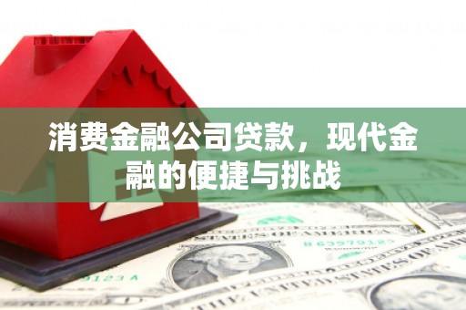 施甸消费金融公司贷款，现代金融的便捷与挑战