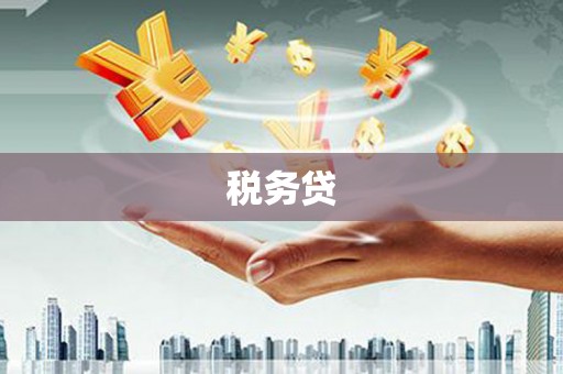 施甸税务贷