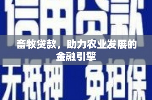 施甸畜牧贷款，助力农业发展的金融引擎