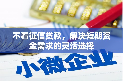 施甸不看征信贷款，解决短期资金需求的灵活选择