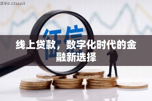 施甸线上贷款，数字化时代的金融新选择