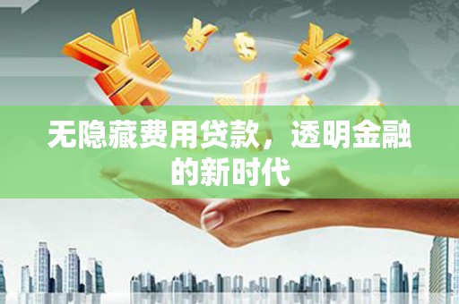 施甸无隐藏费用贷款，透明金融的新时代