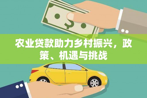 施甸农业贷款助力乡村振兴，政策、机遇与挑战