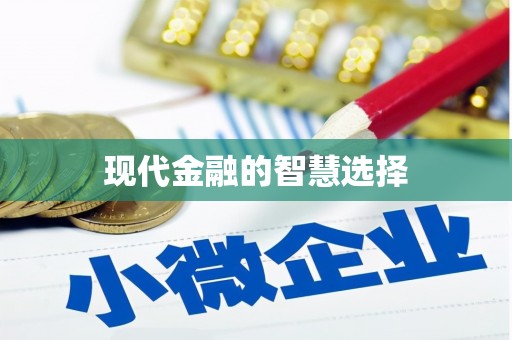 施甸现代金融的智慧选择
