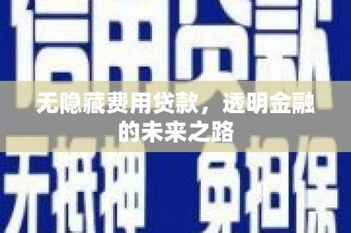 施甸无隐藏费用贷款，透明金融的未来之路
